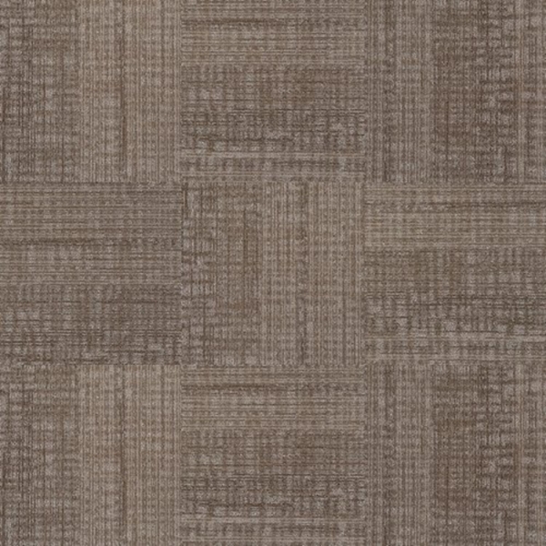 Picture of Next Floor - Invincible Alpaca