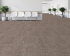 Picture of Next Floor - Invincible Tortoise
