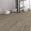 Picture of Next Floor - Context Plus Beachfront