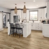 Picture of Mannington - Realta Plank SPC Scandinavian Oak Nutmeg