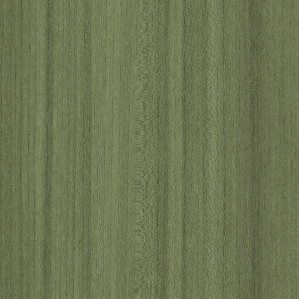 Picture of Patcraft - Timber Grove II 30MIL Cactus