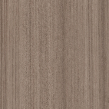 Picture of Patcraft - Timber Grove II 30MIL Bistre