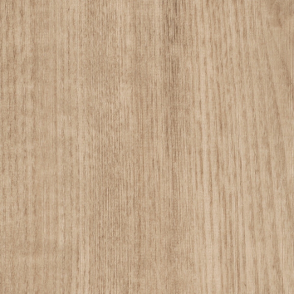 Picture of Patcraft - Timber Grove II 30MIL Sprout