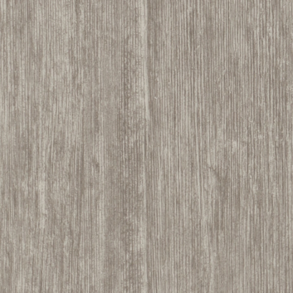 Picture of Patcraft - Timber Grove II 30MIL Juniper
