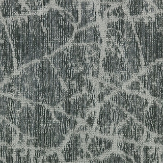 Picture of Mannington - Canopy II Fir