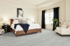 Picture of Shaw Floors - Paladin Plus Feather Grey