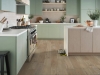 Picture of Shaw Floors - Paladin Plus Driftwood