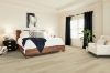 Picture of Shaw Floors - Paladin Plus Silver Dollar