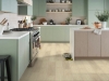 Picture of Shaw Floors - Paladin Plus Silver Dollar