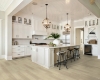 Picture of Shaw Floors - Paladin Plus Silver Dollar