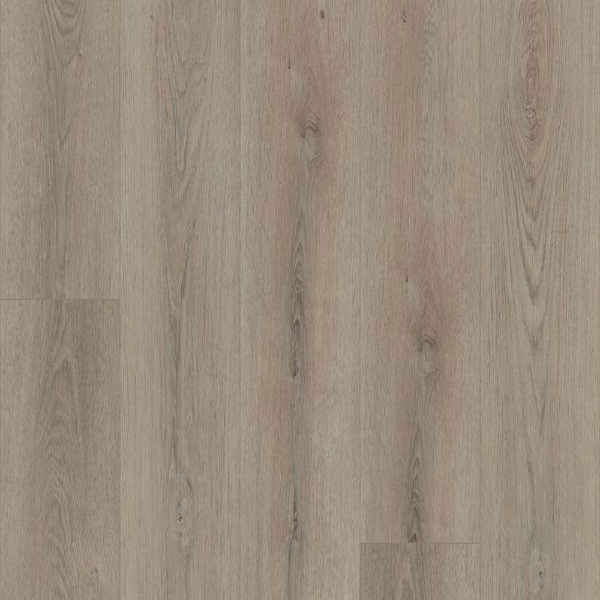 Picture of Shaw Floors - Paladin Plus Toasted Taupe