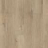 Picture of Shaw Floors - Paladin Plus Marina