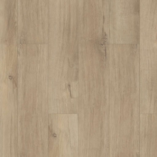 Picture of Shaw Floors - Paladin Plus Marina