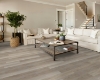 Picture of Shaw Floors - Paladin Plus Lighthouse