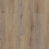 Picture of Shaw Floors - Paladin Plus Wild Dunes