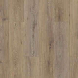 Picture of Shaw Floors - Paladin Plus Wild Dunes