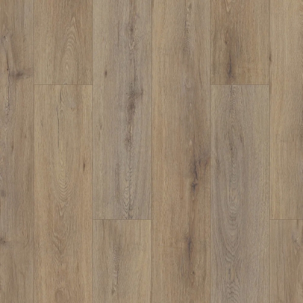Picture of Shaw Floors - Paladin Plus Wild Dunes