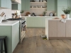 Picture of Shaw Floors - Paladin Plus Wild Dunes