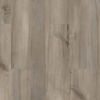 Picture of Shaw Floors - Paladin Plus Sea Glass