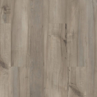 Picture of Shaw Floors - Paladin Plus Sea Glass