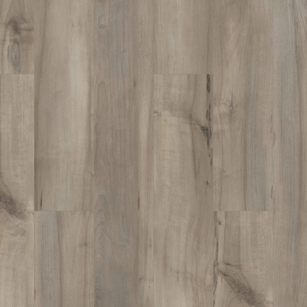 Picture of Shaw Floors - Paladin Plus Sea Glass
