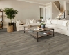 Picture of Shaw Floors - Paladin Plus Sea Glass