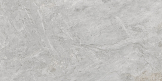 Picture of Emser Tile - Milestone R11 Moon Rectified