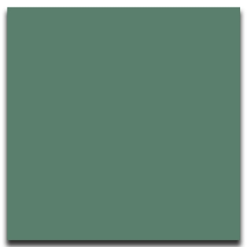 Picture of Johnsonite - Solid Colors Smooth 24 x 24 Grinch