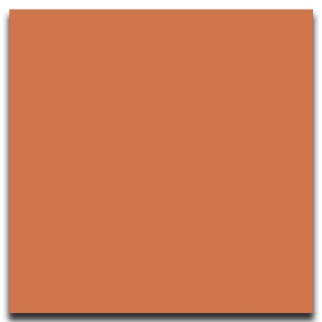 Picture of Johnsonite - Solid Colors Smooth 24 x 24 Hot Spice