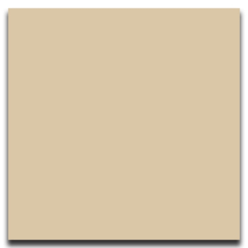Picture of Johnsonite - Solid Colors Smooth 24 x 24 Silk