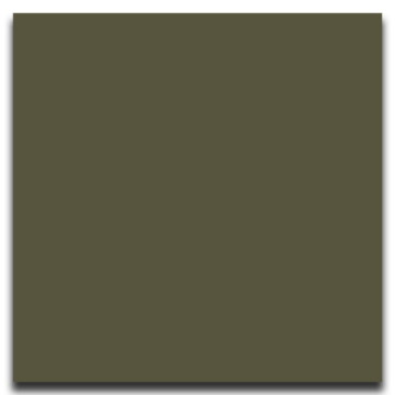 Picture of Johnsonite - Solid Colors Smooth 24 x 24 Boxwood