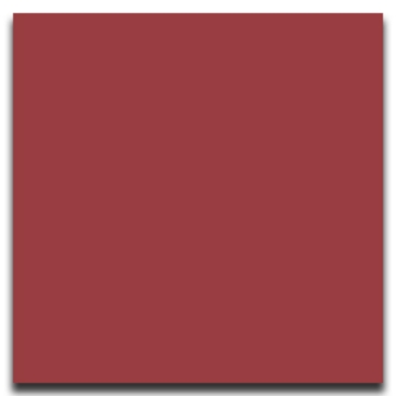 Picture of Johnsonite - Solid Colors Smooth 24 x 24 Flame