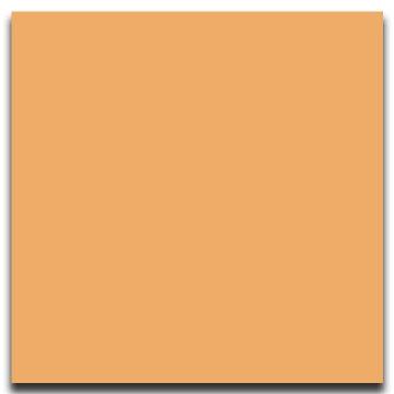 Picture of Johnsonite - Solid Colors Smooth 24 x 24 Mr Sunshine