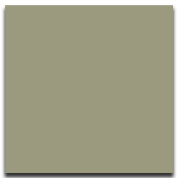 Picture of Johnsonite - Solid Colors Smooth 24 x 24 Gecko