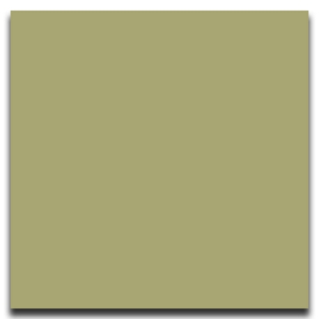 Picture of Johnsonite - Solid Colors Smooth 24 x 24 Iguana
