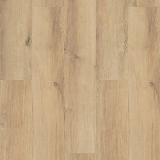 Picture of Shaw Floors - Optimum 512C Plus Marina