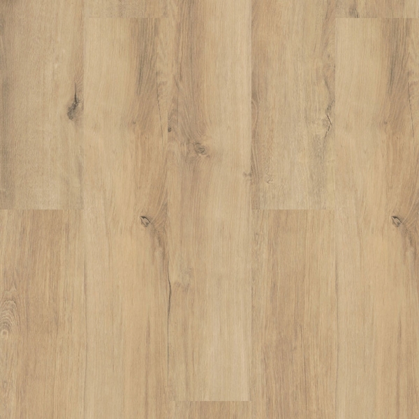 Picture of Shaw Floors - Optimum 512C Plus Marina