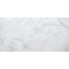 Picture of Emser Tile - Marble 12 x 24 Polished Winter Frost