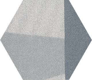 Picture of Shaw Floors - Base Hexagon Tile Scale