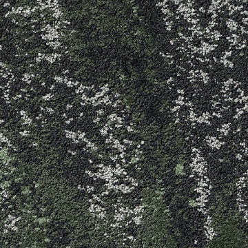 Picture of Shaw Floors - Beyond Tile Moss