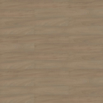 Picture of Shaw Floors - Branching Out 5mm Acoustic Zion Oak