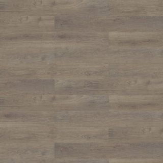 Picture of Shaw Floors - Branching Out Coretec 12MIL Pinecone Oak