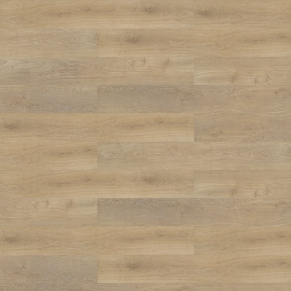 Picture of Shaw Floors - Branching Out Coretec 12MIL Prairie Oak