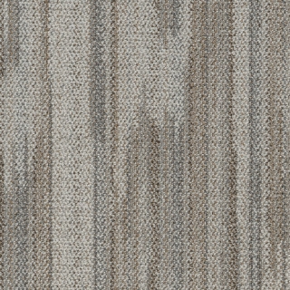 Picture of Shaw Floors - Casa Native