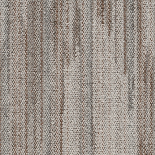 Picture of Shaw Floors - Casa Vibrant Native