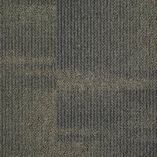 Picture of Shaw Floors - Color Play Pistachio