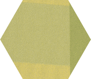 Picture of Shaw Floors - Color Shift Hexagon Tile Sublime