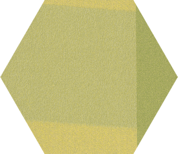 Picture of Shaw Floors - Color Shift Hexagon Tile Sublime