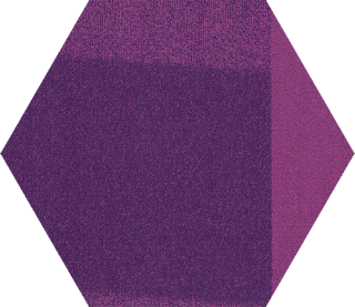 Picture of Shaw Floors - Color Shift Hexagon Tile Brilliant