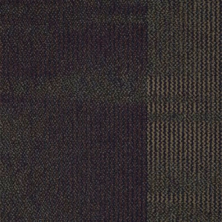 Picture of Shaw Floors - Color Play Black To Business